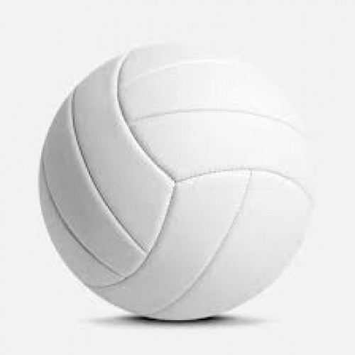Volley Balls